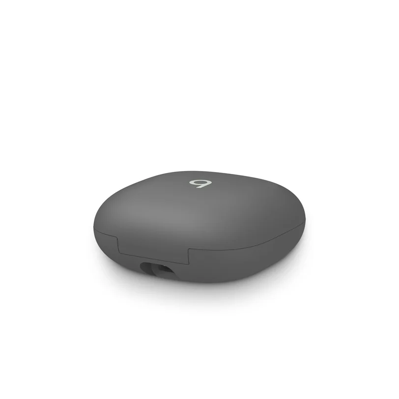 Beats Fit Pro True Wireless Earbuds — Sage — Gris sidéral