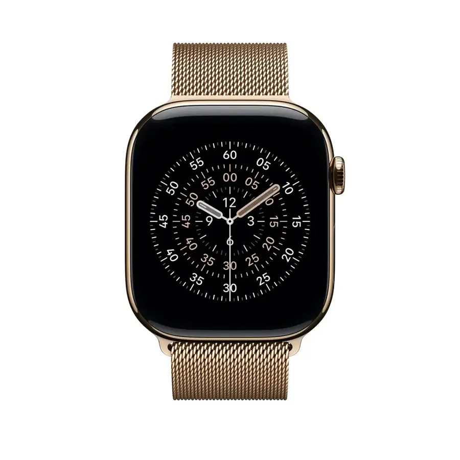 Boucle milanaise 46 mm Or — M/L