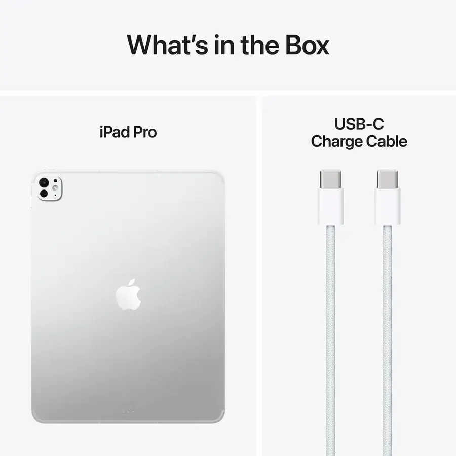iPad Pro M5 13 pouces Wi‑Fi + Cellular 1 To — Argent