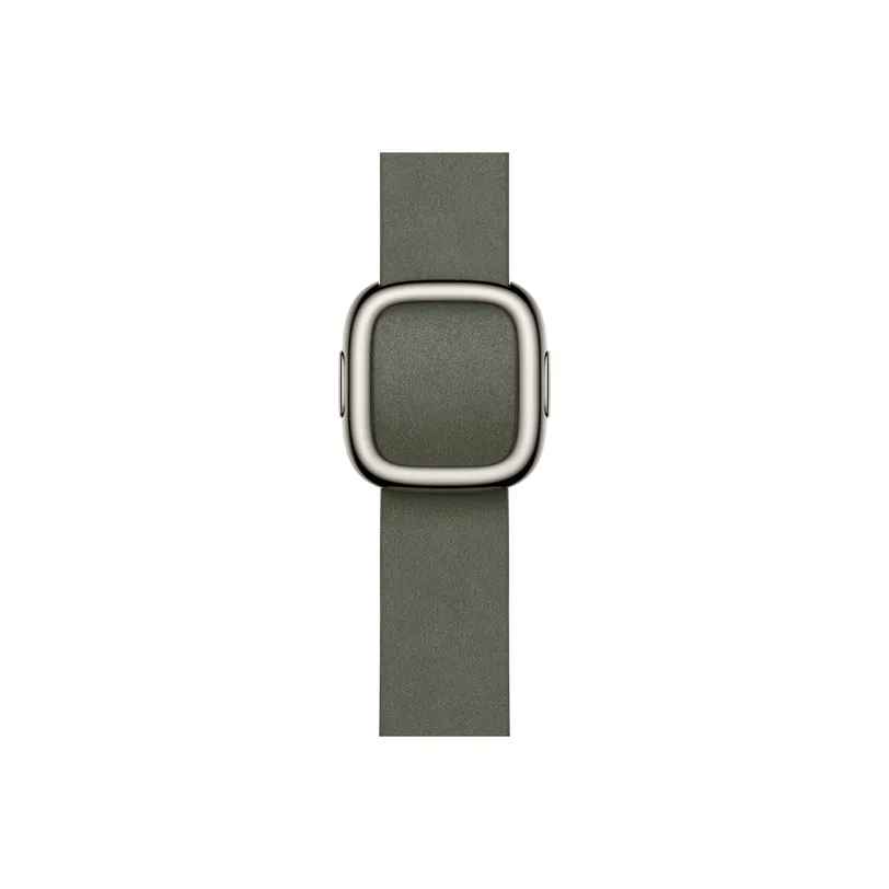 42mm Sauge Gris sidéral Modern Buckle - Large