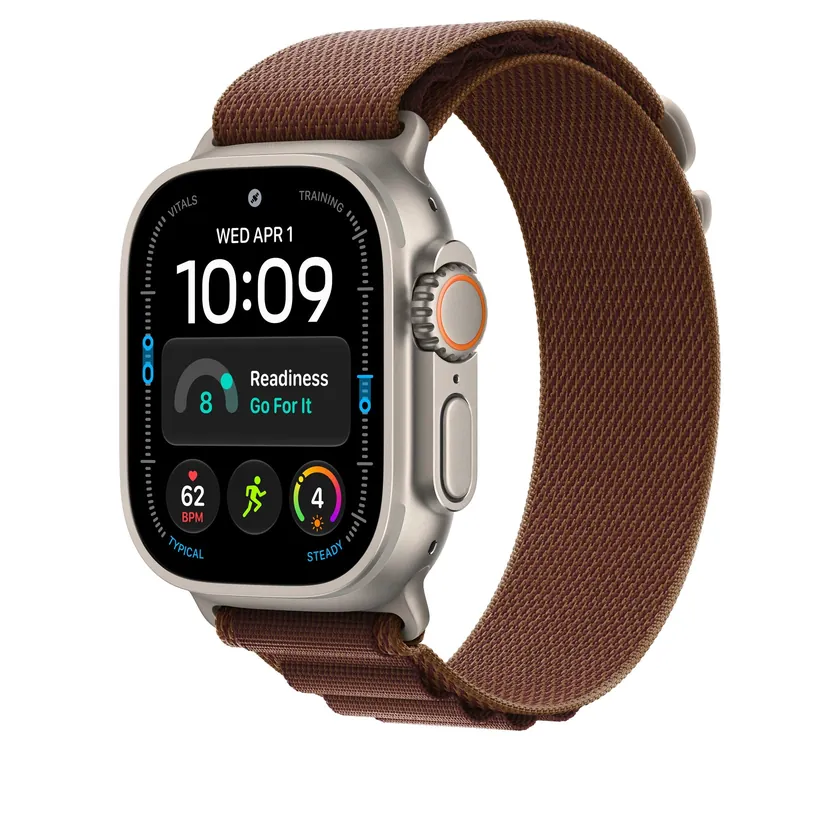 49mm Bordeaux Boucle Alpine - Large - Naturel Titanium Finish