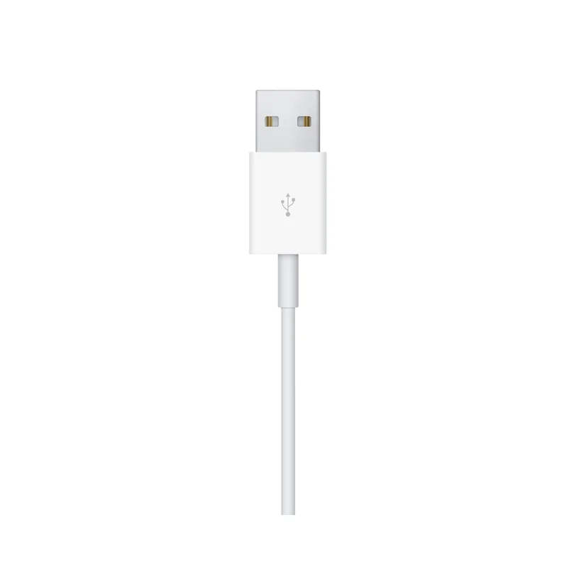 Câble de charge magnétique Apple Watch (1 m)