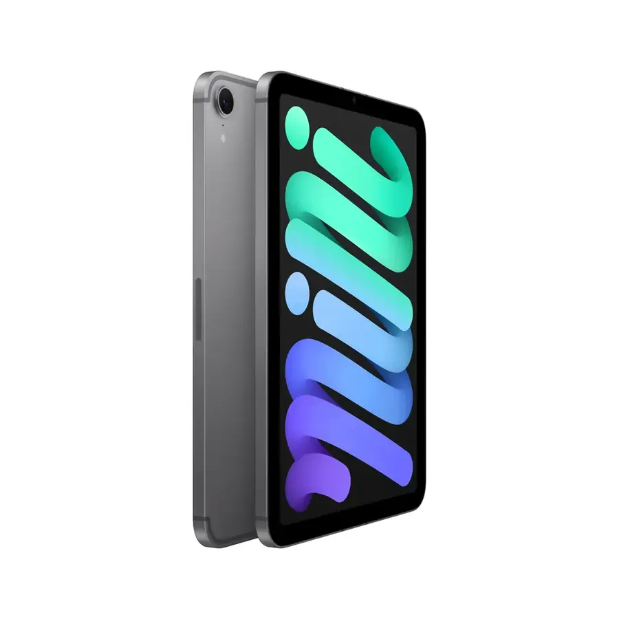 iPad mini (A17 Pro) Wi‑Fi + Cellular 128 Go — Gris sidéral
