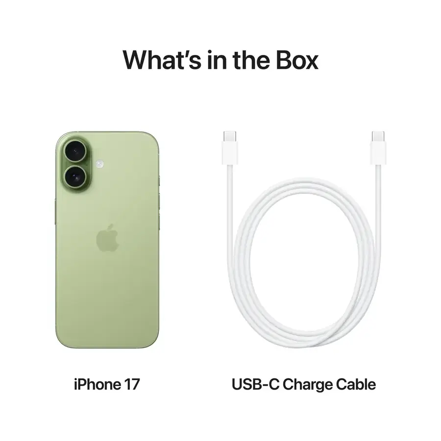 iPhone 17 256 Go Sauge