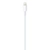 USB-C to Lightning Cable (1 m) – Image 2